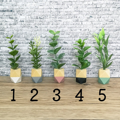 Moderne Miniaturpflanze im Holztopf, Puppenhausdekoration, Miniaturaccessoires