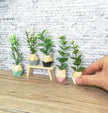 Moderne Miniaturpflanze im Holztopf, Puppenhausdekoration, Miniaturaccessoires